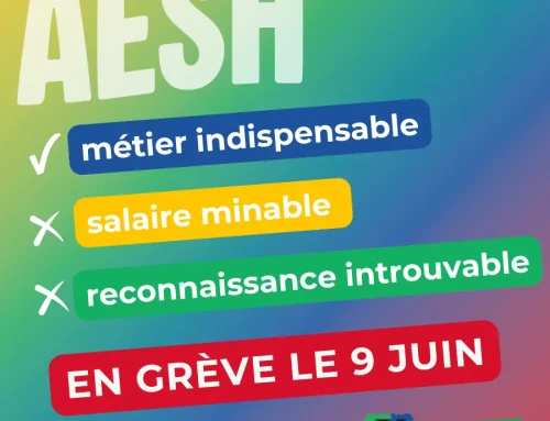 AESH: pour un statut de fonctionnaire , mobilisé·es le 9 juin