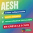 900-900-max aesh3